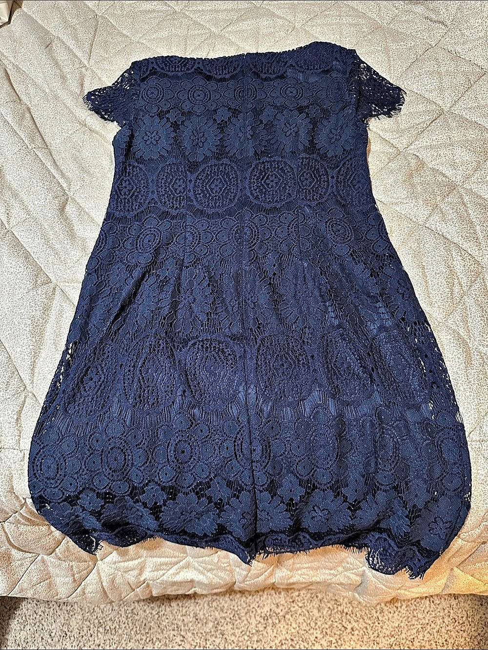 Eliza J Lace Party Dress Size 2P